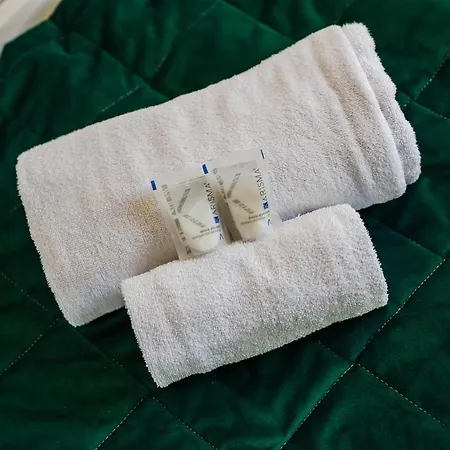 Cozy Rooftop Flat - Steps From The Sea - Ac And Wifi 公寓 圣玛格丽塔－利古雷